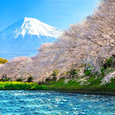 Bộ tranh xếp hình 150 mảnh – Núi Phú Sĩ 