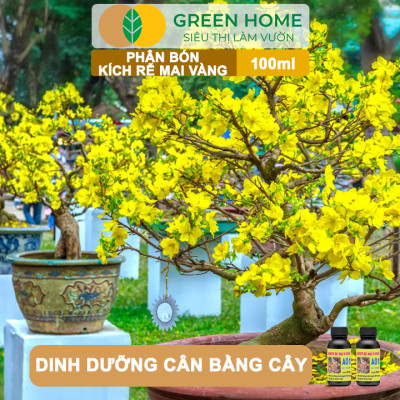 Phân Bón Kích Rễ Mai Vàng GreenHome, Hũ 100ml, Ra Rễ Cực Mạnh Dùng Giâm, Chiết Cành, Chuyên Hoa Mai