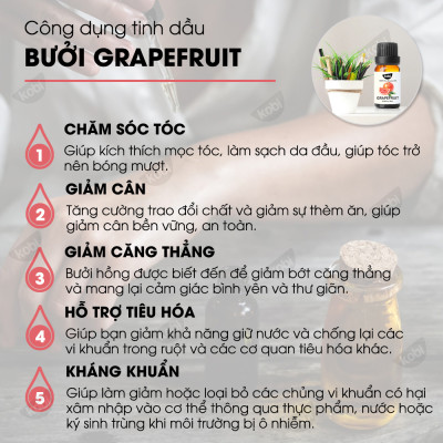 Combo 3 Tinh Dầu Xông Phòng Kobi: Tinh Dầu Cam Ngọt (30ml) + Tinh Dầu Bưởi (30ml) + Tinh Dầu Tràm Trà (30ml) - Tinh Dầu Thiên Nhiên Nguyên Chất, Tốt Cho Bé Sơ Sinh, Giúp Giữ Ấm Cơ Thể, Phòng Ngừa Bệnh Hô Hấp Hiệu Quả