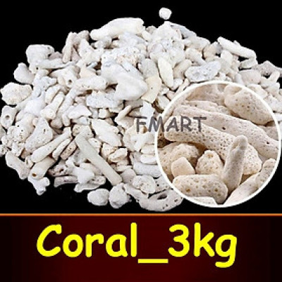 3KG San Hô Vụn vật liệu lọc hồ cá, trang trí bể cá, hồ thủy sinh cao cấp