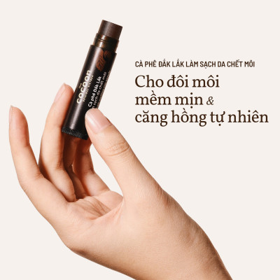 Nước tẩy trang bí đao cocoon 500ml + Cà phê đắk lắk làm sạch da chết môi cocoon 5g