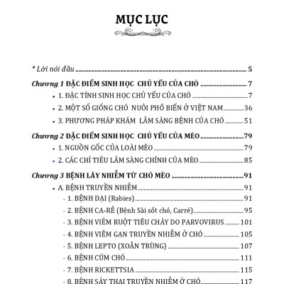 Nuôi Chó Mèo Và Nguy Cơ Lây Nhiễm Bệnh Từ Chó Mèo