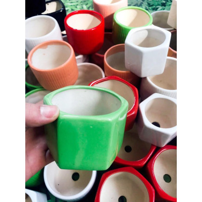 Chậu trồng cây cảnh hình lục giác