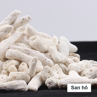 3KG San Hô Vụn vật liệu lọc hồ cá, trang trí bể cá, hồ thủy sinh cao cấp