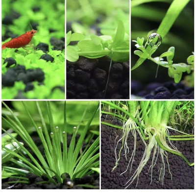 Xốp Lọc Bể Cá + Bông Gòn + Phân nền thủy sinh Dia Max AQua cho hồ bể cá cảnh