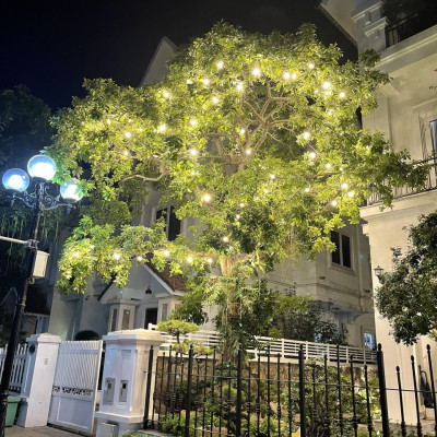 Bóng đèn LED bulb tròn LEDGOES 3W