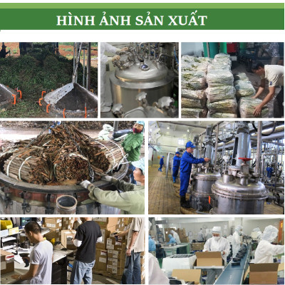 Tinh dầu Hương Nhu nguyên chất 100% từ thiên nhiên - KingOil