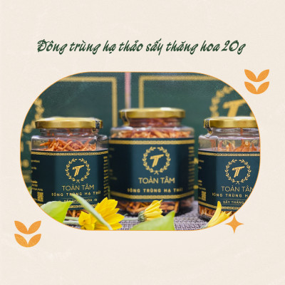 ĐÔNG TRÙNG HẠ THẢO SẤY THĂNG HOA (SẤY LẠNH) TOÀN TÂM 