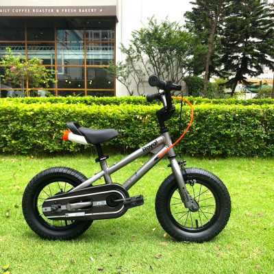 XE ĐẠP TRẺ EM ROYALBABY FREESTYLE FS7 size12 cho 2-5 tuổi( giao mầu ngẫu nhiên)