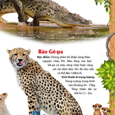 Khám Phá Thế Giới Động Vật 5 Châu - Châu Phi