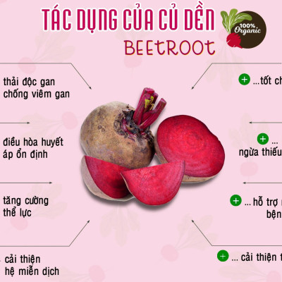 Bột củ dền hữu cơ nguyên chất sấy lạnh Dalahouse - Thúc đẩy sức khỏe tim mạch, hỗ trợ giải độc gan, tăng cường thể lực