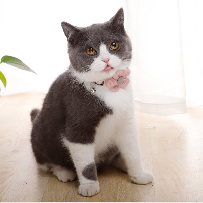 Vòng cổ xinh xắn hoa cúc cho chó mèo ( màu giao ngẫu nhiên )