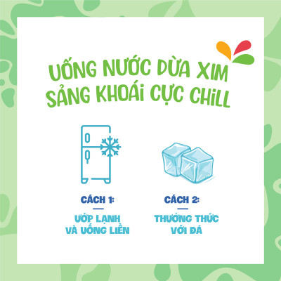  Combo 6 Chai Nước dừa Xim thạch dừa tươi chai PET 350ml