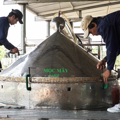 Tinh dầu Hoa Phong Lữ 10ml Mộc Mây - tinh dầu thiên nhiên nguyên chất 100% - chất lượng vượt trội - mùi hương nồng nàn, quyến rũ, kích thích, hưng phấn - Có kiểm định