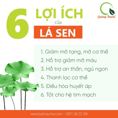 Bột Lá Sen Sấy Lạnh Nguyên Chất Hộp 30g  - Ngủ ngon, giảm mỡ máu, giảm cân, mát gan, mờ nám, tàn nhang, đẹp da