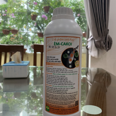 Chế phẩm EM xử lý ao hồ nuôi Cá Koi, Cá Cảnh - Làm trong sạch nguồn nước - Ức chế tảo lam - Khử mùi hôi tanh - Vi sinh gốc lên men 100% Tự Nhiên