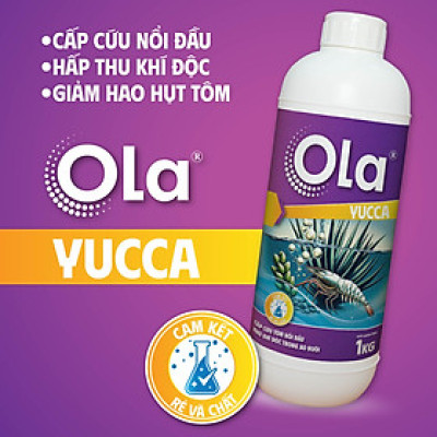 OLA YUCCA: Cấp cứu tôm nổi đầu, khử độc trong ao nuôi
