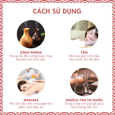 Tinh Dầu Bạc Hà TOKI MORI Xuất Khẩu Nhật Bản (50ml) 100% Thiên Nhiên, Xông Phòng, Khử Mùi, Kháng Khuẩn, Đuổi Muỗi, Giảm Stress, An Toàn Cho Trẻ.