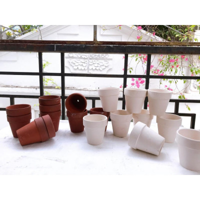 Chậu đất nung nâu chậu đất nung trắng