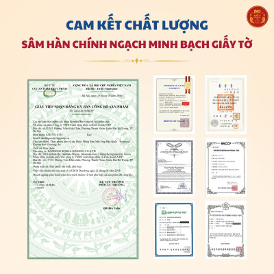 Hộp 10 Củ Hồng sâm 6 Tuổi tẩm mật ong Daedong Korea - Daedong Honeyed Korean Red Ginseng (300g)