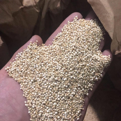 Hạt Diêm mạch Quinoa - Nhập khẩu Mỹ / Thương Hiệu Holinut - 500g và 1kg
