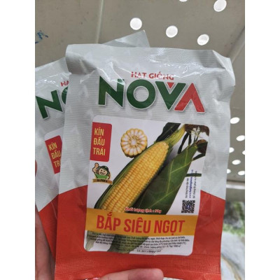 Hạt giống Bắp vàng Siêu ngọt (bắp ngọt vang mỹ ) Nova KNS36 - gói 50gram