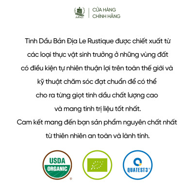 Tinh Dầu Nhũ Hương Serrata - 100% Nguyên Chất Hữu Cơ - Le Rustique - Tinh Dầu Bản Địa Ấn Độ