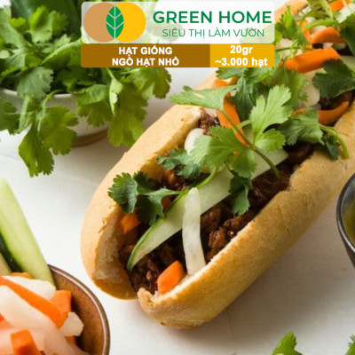Hạt Giống Ngò Rí Greenhome, Gói 20gr, Dễ Trồng Quanh Năm, Nảy Mầm Cao, Thu Hoạch Nhanh, Năng Suất Cao G03