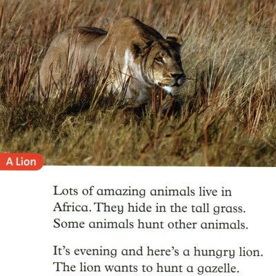 Oxford Read and Discover: Level 2: Camouflage