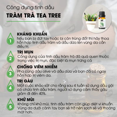 Combo 3 Tinh Dầu Xông Phòng Kobi: Tinh Dầu Cam Ngọt (30ml) + Tinh Dầu Bưởi (30ml) + Tinh Dầu Tràm Trà (30ml) - Tinh Dầu Thiên Nhiên Nguyên Chất, Tốt Cho Bé Sơ Sinh, Giúp Giữ Ấm Cơ Thể, Phòng Ngừa Bệnh Hô Hấp Hiệu Quả