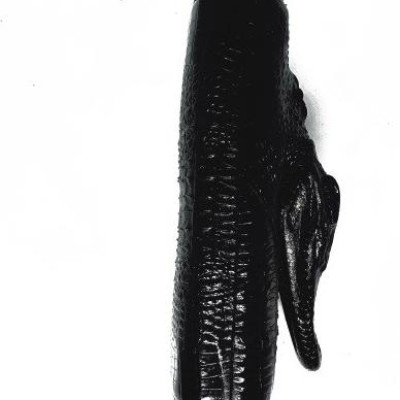 Ví nữ da cá sấu Huy Hoàng nhiều ngăn đầu cá sấu màu đen HT3725