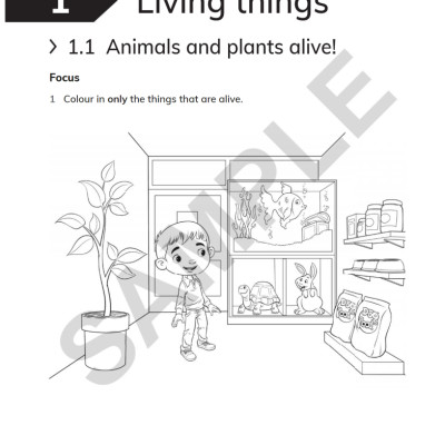 Cambridge Primary Science Workbook 1 With Digital Access (1 Year) 2nd Edition