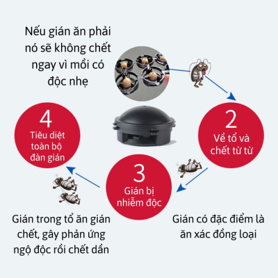 [Hàng chính hãng] Hộp thuốc diệt gián 12 viên Nhật Bản mẫu mới nhất năm 2023