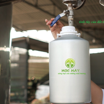 Tinh dầu Bưởi da xanh 50ml Mộc Mây - tinh dầu nguyên chất 100% từ thiên nhiên