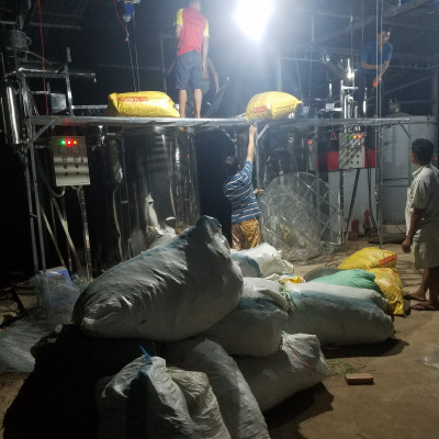 Tinh dầu Gừng 10ml nguyên chất từ thiên nhiên - Mộc Mây