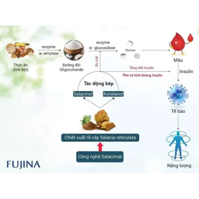 Viên Uống Hỗ Trợ Tiểu Đường Insuna Fujina Nhật Bản 120 Viên Giúp Ổn Định Đường Huyết, Ngăn Ngừa Biến Chứng Tiểu Đường