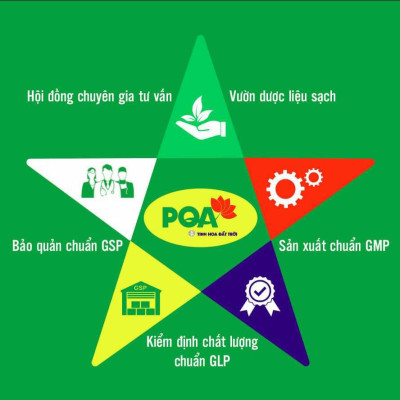 Bổ Phế Không Đường PQA Hỗ Trợ Giảm Ho, Đau Rát Họng Và Khản Tiếng Hộp 125ml