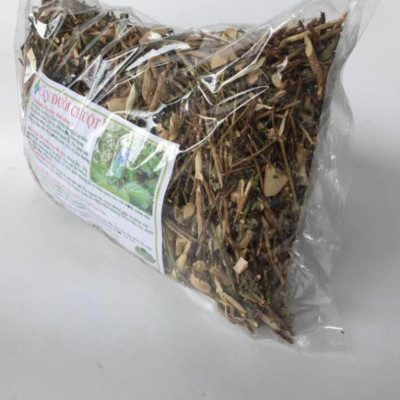 Đuôi chuột cây mạch lạc 01KG