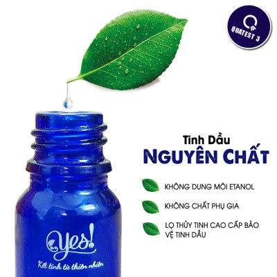 TINH DẦU OẢI HƯƠNG YES! ( LAVENDER ESSENTIAL OIL )