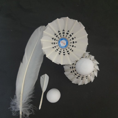 Hộp 12 quả cầu lông hộp xanh