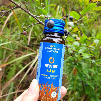 1 Chai Nước Đông Trùng Hạ Thảo Hector Sâm, Uống Trực Tiếp, Tăng Sức Đề Kháng, Tăng Cường Sinh Lý Nam Nữ, Tăng Tiết Sữa Cho Mẹ, Bảo Vệ Chức Năng Gan Thận, Giảm Say Tàu Xe, Nam, Nữ, Người Lớn Tuổi Đều Dùng Được