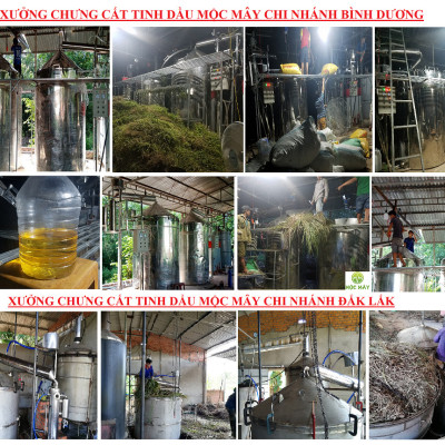 Tinh dầu hoa Hồng 100ml Mộc Mây - tinh dầu thiên nhiên nguyên chất 100% - chất lượng và mùi hương vượt trội