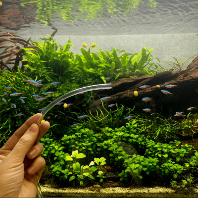 6 Mét dây sủi và 6 đá sủi oxy, quả sủi oxy dùng cho Máy sủi oxy, Máy sục khí - Tăng lượng khí oxy bể cá - Giúp cá lớn nhanh, phát triển mạnh ( Trắng - Đen)