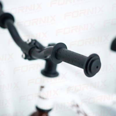 Xe Đạp Chòi chân/Xe thăng bằng cho bé 12"- BB12 - Fornix - Bảo Hành 12 Tháng