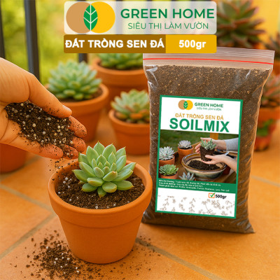Đất Trồng Sen Đá Greenhome, Bao 500GR, Soil Mix, Trộn Sẵn, Tiện Lợi, Đầy Đủ Dinh Dưỡng, Thoát Nước Tốt, Cây Nhanh Lớn