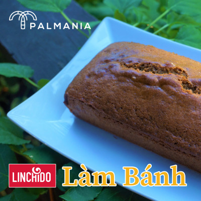 [ COMBO 5 GÓI ] Mật thốt nốt bột PALMANIA | Nguyên Chất, Tự Nhiên (300 GRAM)