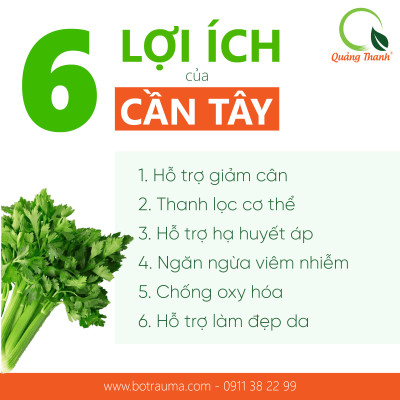 Bột Cần Tây Sấy Lạnh Nguyên Chất Quảng Thanh Hộp 30g - Hỗ trợ giảm cân, giảm mỡ bụng, giảm mụn, giảm gút