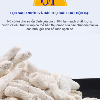 3KG San Hô Vụn vật liệu lọc hồ cá, trang trí bể cá, hồ thủy sinh cao cấp