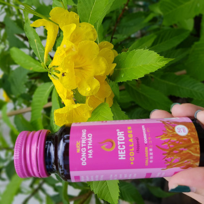 Combo 2 Hộp (20 Chai) Nước Đông Trùng Hạ Thảo Hector Collagen