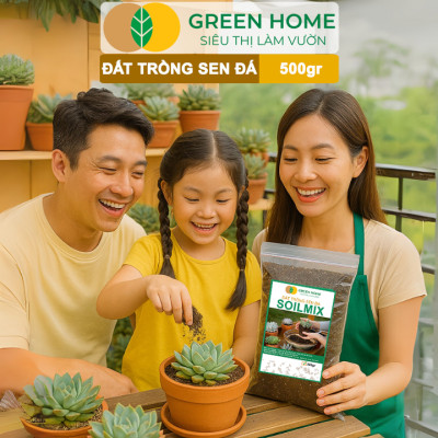 Đất Trồng Sen Đá Greenhome, Bao 500GR, Soil Mix, Trộn Sẵn, Tiện Lợi, Đầy Đủ Dinh Dưỡng, Thoát Nước Tốt, Cây Nhanh Lớn